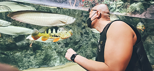 ꡼ No.020 | ޥեĤ󼡸褤592ֲǭȥդ򤹤뤿˼Ѳս䤷ˡ