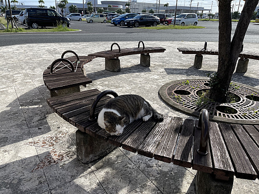 ꡼ No.038 | ޥեĤ󼡸褤592ֲǭȥդ򤹤뤿˼Ѳս䤷ˡ