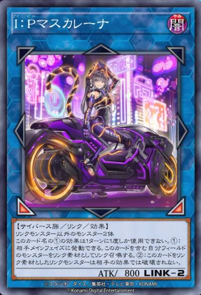 ꡼ No.005 | ͷ ޥǥ奨פ߷DL5730ˡ쥯ѥå֥쥤֡