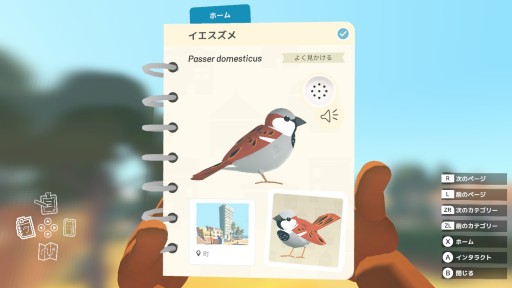 ꡼ No.017 | ȯȤʤäSwitchǡAlba: A Wildlife AdventureפΥץ쥤ݡȤǺܡ˭ʼǡưʪ򻣱ƤƵ٤