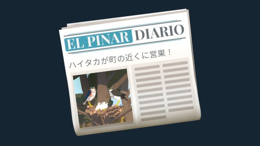 ꡼ No.018 | ȯȤʤäSwitchǡAlba: A Wildlife AdventureפΥץ쥤ݡȤǺܡ˭ʼǡưʪ򻣱ƤƵ٤