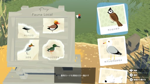 ꡼ No.020 | ȯȤʤäSwitchǡAlba: A Wildlife AdventureפΥץ쥤ݡȤǺܡ˭ʼǡưʪ򻣱ƤƵ٤