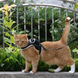 画像集#012のサムネイル/「Stray」のリアル猫用品が登場。透明窓付きバックパック＆安全ばっちりレプリカハーネスが予約受付中