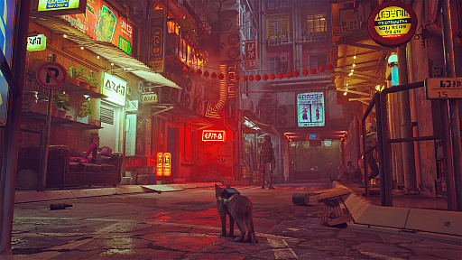 ���������꡼ No.006�Υ���ͥ������ / �֥����ॲ�Υ�ס�����������ϡ�TOKYO JUNGLE�פȡ�Stray�ס��ʹ֤���¸��ǽ��ƤӳФޤ�2�ĤΥ��������Ԥ���