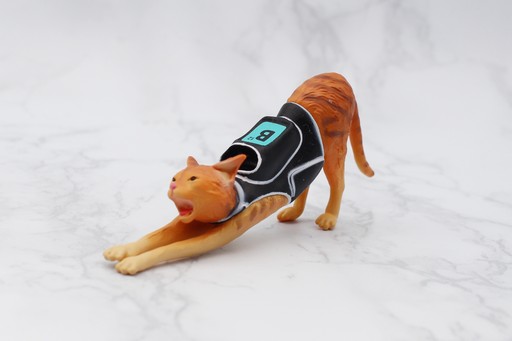 ���������꡼ No.010�Υ���ͥ������ / ������줿ɮ�Ԥ���������ΤҤ饵�����Υͥ������ե����奢����Stray�פΥ��ץ���ե����奢��ե��ȥ�ݡ��ȤǾҲ��TGS2024��