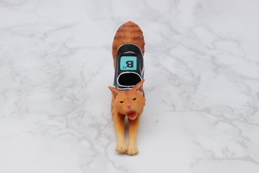 ���������꡼ No.011�Υ���ͥ������ / ������줿ɮ�Ԥ���������ΤҤ饵�����Υͥ������ե����奢����Stray�פΥ��ץ���ե����奢��ե��ȥ�ݡ��ȤǾҲ��TGS2024��