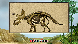 ���������꡼ No.008�Υ���ͥ������ / ���������ѥ����ȯ������ε�ѥ���DX�פ�2021ǯ8��5�����ۿ���8��31���ޤǤ�500�ߡ��ǹ��ˤΥ�������ʤ�