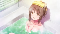 ���������꡼ No.017�Υ���ͥ������ / PS4/Switch�֥ѥ�ե���ᥤ���פ�������꡼�����ᥤ�ɵ��������ˤ����������ɥ٥���㡼������