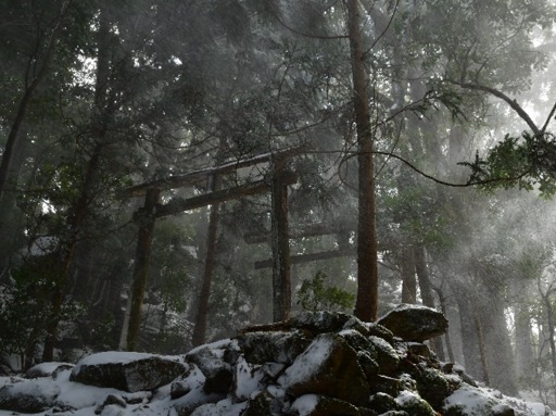 ꡼ No.003 | Ghost of Tsushima׸饤󥹥åϤδѸۤˤ429