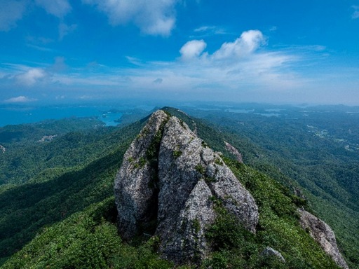 ꡼ No.004 | Ghost of Tsushima׸饤󥹥åϤδѸۤˤ429