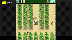 G-MODE���������֥�15 ���������餷