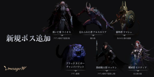 ꡼ No.004 | ֥͡W׽緿åץǡȡ1stԥɡǥɤ»ܡϰ襢ǥ6Ĥοꥢʤɤо