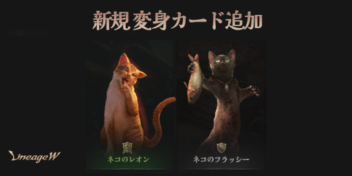 ꡼ No.003 | ֥͡Wסɥ󥸥̴γڱɤȥ󥸥ȼΤƤ줿Ԥϡɤ