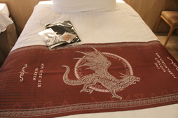 画像ギャラリー No.040のサムネイル画像 / 「リネージュW」と佐賀県がコラボ中! オープニングセレモニーからARフォトスポットまで,その詳細を現地からレポート