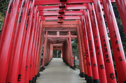 画像ギャラリー No.055のサムネイル画像 / 「リネージュW」と佐賀県がコラボ中! オープニングセレモニーからARフォトスポットまで,その詳細を現地からレポート