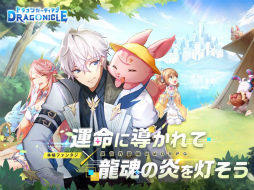 Dragonicle: �ɥ饴�󥬡��ǥ�����