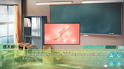 ꡼ No.010 | ƻơޤˤADV֤ϤƤ㤬ҡλϡʤƻܻͥؤפȯ