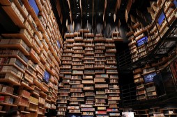 ꡼ No.007 | ê줬ΥޥߥANIMA -դβϭ-θݡȡܤ˺̤줿2Ⱦΰθ