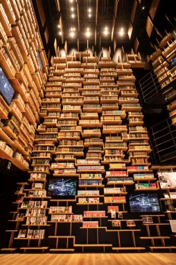 ꡼ No.020 | ê줬ΥޥߥANIMA -դβϭ-θݡȡܤ˺̤줿2Ⱦΰθ