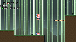 ���ӥʥ��ꥳ�쥯�����