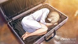 ꡼ No.003 | ֲå4Gamer330󡧡ֻȥȥ٥꡼ Plusפýǥ󥰤ΤθԥɤɲüϿ