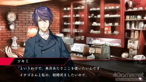 ꡼ No.034 | ֻȥȥ٥꡼ Plusԥץ쥤򼺤äȡ΢Ҳοʹ֤ɤˤ㰦ʪNintendo Switchǳڤ⤦