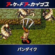 �ѥå�����