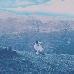 ꡼ No.003 | ֥ȥפΥ饯MVȥꥢɸTwitterǥڡ»