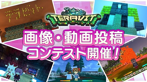 ꡼ No.002Υͥ / ֥ƥӥåȡסץ¥ƥȳϤǰơȲưƥƥȡɤŤ