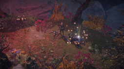 ꡼ No.004 | ֥ǥץ륺 ٥졼סDLCȶؤƻۿ