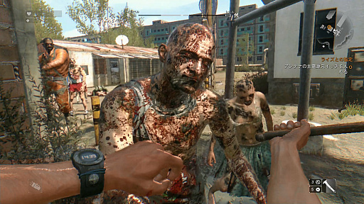 ꡼ No.008Υͥ / Switch֥󥰥饤 ץʥǥפȯˡȥ쥤顼