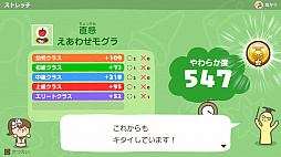 ꡼ No.005 | Switchѥեȡ֤餫޽ äˤޤΥȥåפ2021ǯ123ȯ䡣꡼ʤ鸷줿ȥåϿ