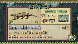 ꡼ No.004Υͥ / ȯʪѥפ107˥꡼31ޤǤۿǰ20󥪥