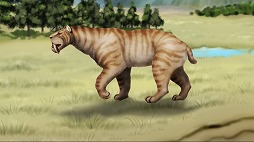 ꡼ No.007Υͥ / ȯʪѥפ107˥꡼31ޤǤۿǰ20󥪥