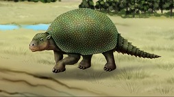 ꡼ No.008Υͥ / ȯʪѥפ107˥꡼31ޤǤۿǰ20󥪥