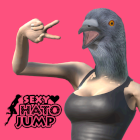 �ѥå�����