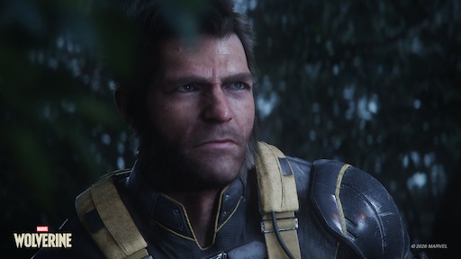 画像ギャラリー No.007のサムネイル画像 / ［インタビュー］「Marvel’s Wolverine」が描くのは，Insomniacならではのウルヴァリン。生々しく激しい戦闘システムと，各地を巡りながら自分自身の謎を解くストーリー