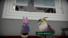 ���������꡼ No.005�Υ���ͥ������ / ��Ļ�ˤʤäƥ������ɥܡ��ɤ�ڤ��ॹ�ݡ��ĥ������SkateBIRD�פ����䤬������������