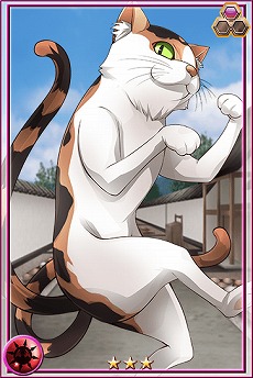 ꡼ No.027 | SwitchTHE ɥХȥ Eternal Destinyפۿȡƥɲåʥꥪ¿Υɤɲä