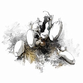 ���������꡼ No.005�Υ���ͥ������ / �ǿ��С�������maimai �Ǥ�ä��� Splash PLUS�פ���Ư�������ȡ�¿���ο��ʤ��ɲä䥳��ܤ򳫺�