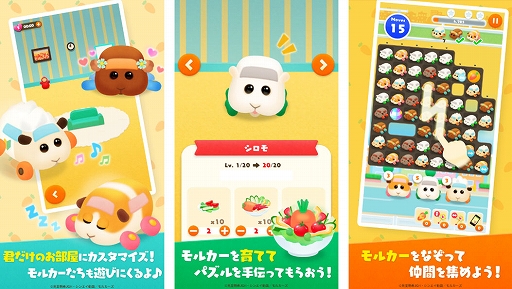 ꡼ No.002 | ֤Ĥޤ륫PUI PUI ѥסۿϡ˥ץ쥤ȡϿڡ󽷤館