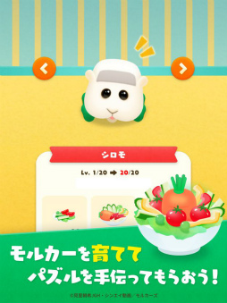 ꡼ No.004 | Ĥޤ륫PUI PUI ѥ