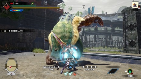 ꡼ No.029 | ֥󥹥ϥ󥿡饤֥쥤פθǤ615ۿˡεԥʥεޥ⻲