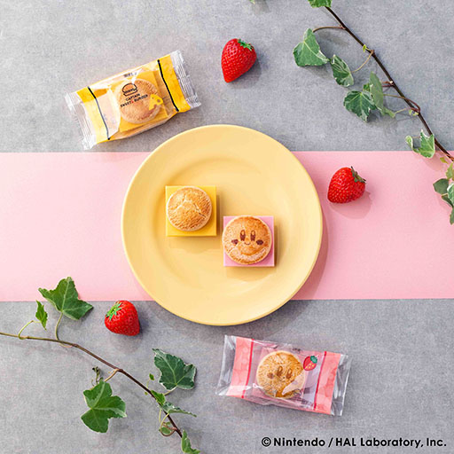 ���������꡼ No.008�Υ���ͥ������ / �����ӥ����������ĥС������ˤʤä��о졣�����ӥ����ե��ߥ���ץƥ󥹥����ĥС������Υ���ܾ��ʡ�7��22����JR�����Ź�ޤ����ȯ��