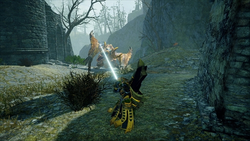 ꡼ No.050 | ֥󥹥ϥ󥿡饤֥쥤ۿ630˷ꡣоΥ󥴥뤲饤λѤǧǤǿPV