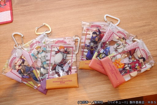 ���������꡼ No.006�Υ���ͥ������ / �֥ϥ����塼!!�פ��������������ϥ��������Ȥ��դ����о졪���ϥ����塼!!�ߥ�󥹥����ϥ󥿡��饤������ܥ��ե�����ݡ���