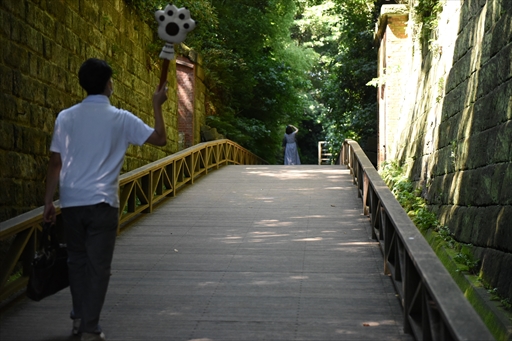 ���������꡼ No.017�Υ���ͥ������ / �֥�󥹥����ϥ󥿡��饤��������֥쥤���ס߲��ܲ�ԥ���ܤ������������ȡ������ץ˥󥰥����ˡ����θ�������ͤ��Ϥ�