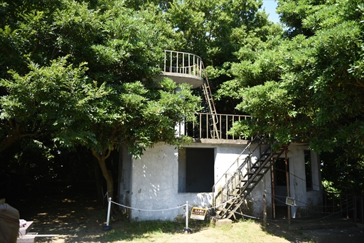 ���������꡼ No.019�Υ���ͥ������ / �֥�󥹥����ϥ󥿡��饤��������֥쥤���ס߲��ܲ�ԥ���ܤ������������ȡ������ץ˥󥰥����ˡ����θ�������ͤ��Ϥ�