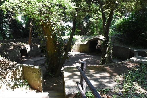 ���������꡼ No.020�Υ���ͥ������ / �֥�󥹥����ϥ󥿡��饤��������֥쥤���ס߲��ܲ�ԥ���ܤ������������ȡ������ץ˥󥰥����ˡ����θ�������ͤ��Ϥ�