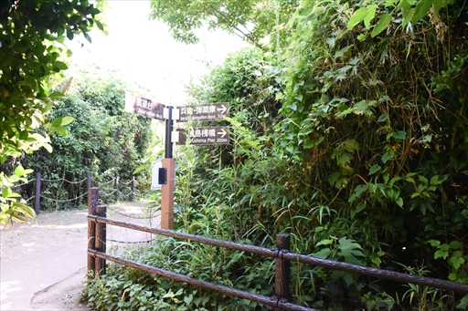 ���������꡼ No.021�Υ���ͥ������ / �֥�󥹥����ϥ󥿡��饤��������֥쥤���ס߲��ܲ�ԥ���ܤ������������ȡ������ץ˥󥰥����ˡ����θ�������ͤ��Ϥ�